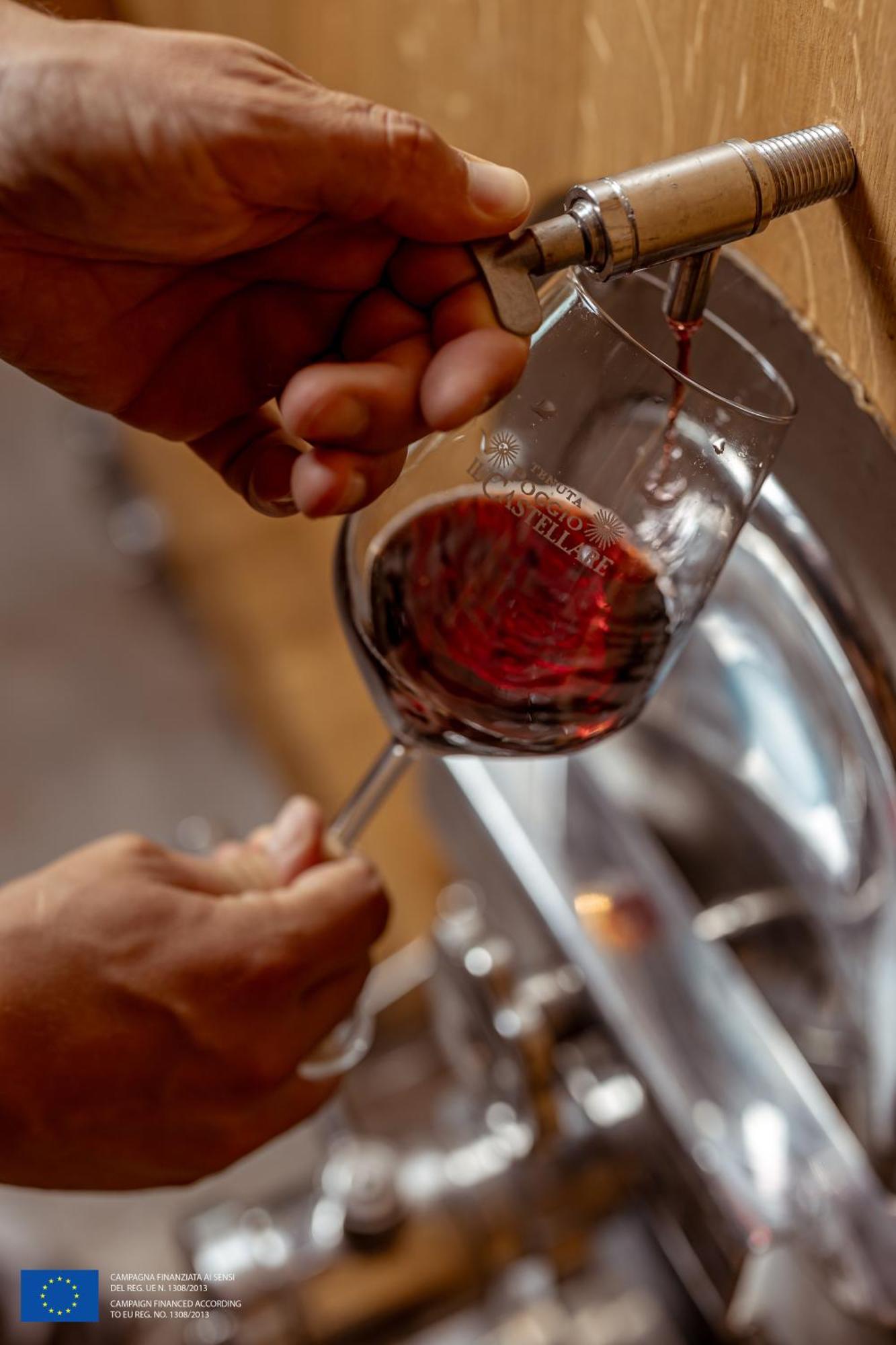 Agriturismo Poggio Il Castellare 蒙塔尔奇诺 外观 照片